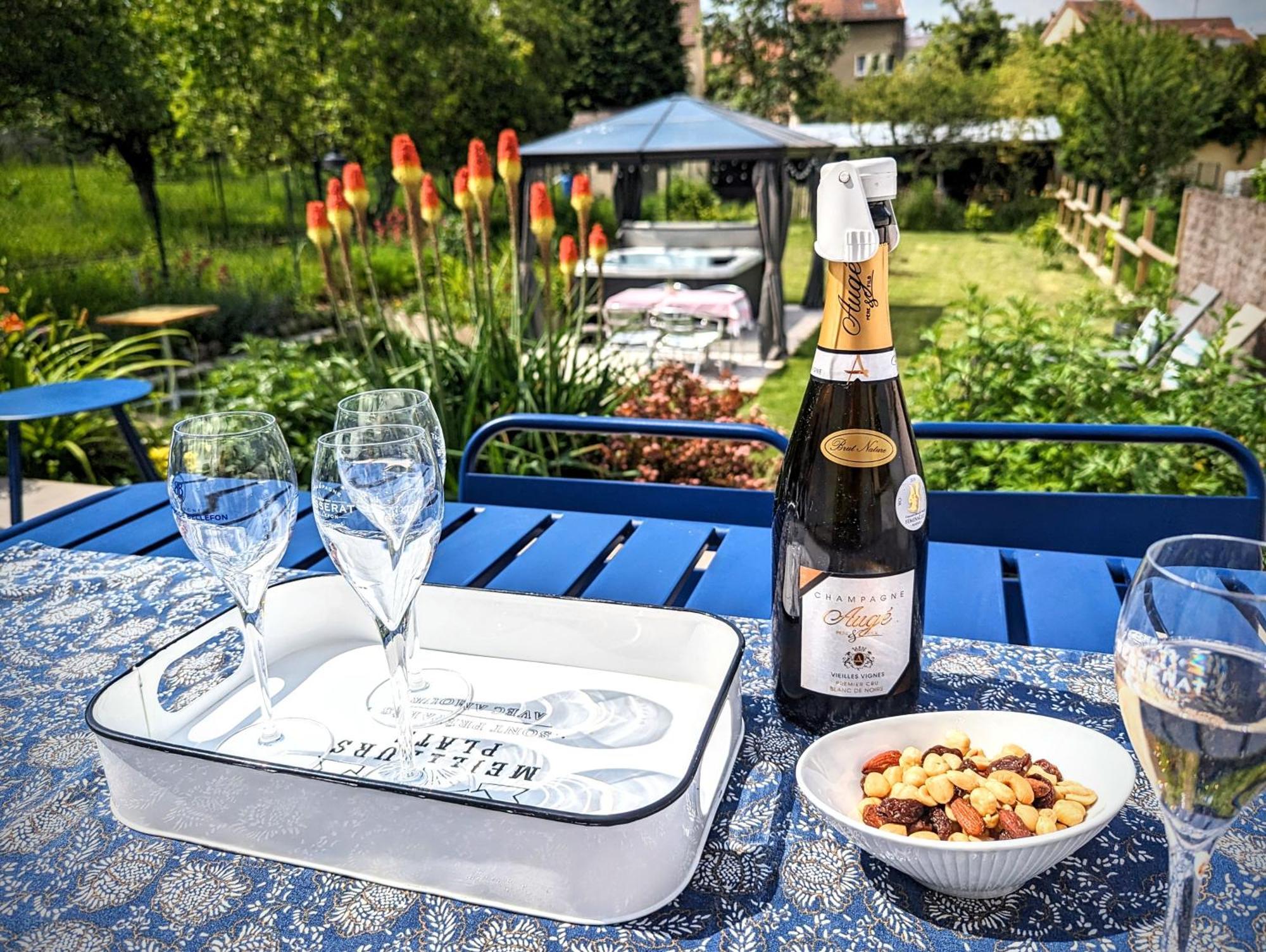 Le Cemarose: Spa, Jardin, Terrasse Et Jolie Vue Au Coeur D'埃佩尔奈 外观 照片